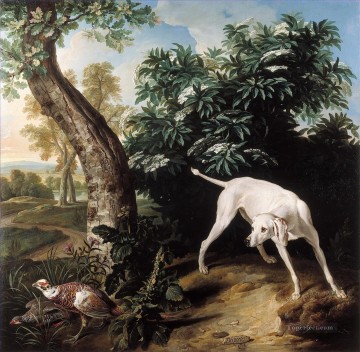 dog Desportes Chienne Blanche Oil Paintings